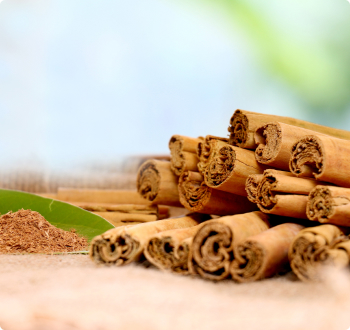 Ceylon Cinnamon Cassia.