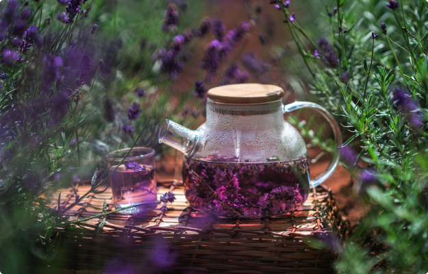 Unique Blend Looked Gorgeous.